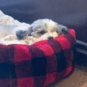 Meet your Posher, Jodi